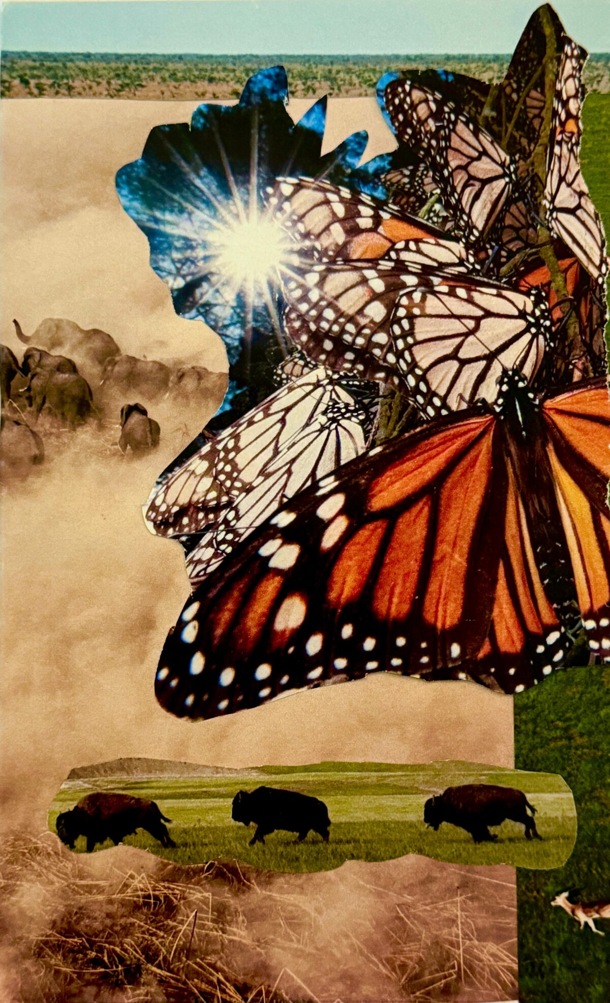 The Great Migrations